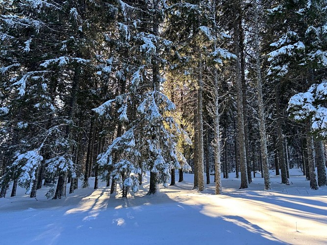 Pedestrian route - from the Col du Calvaire to the Lac Blanc