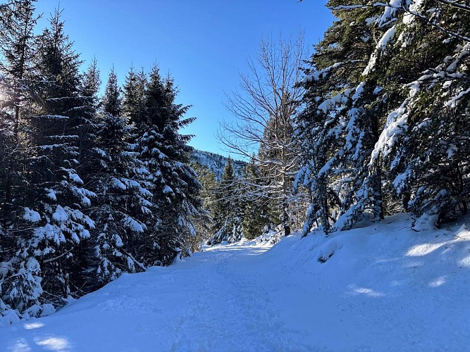 Pedestrian route - from the Col du Calvaire to the Lac Blanc