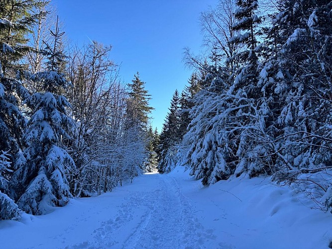Circuit piéton - du Col du Calvaire à la digue du Lac Blanc