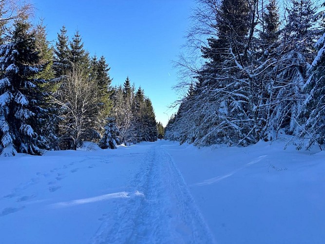 Circuit piéton - du Col du Calvaire à la digue du Lac Blanc