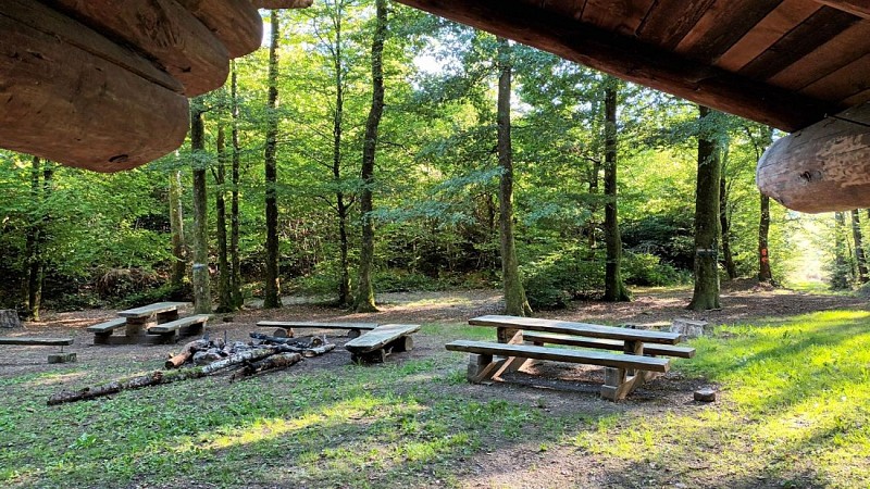 Circuit du chalet Am Saegenkopf depuis Masevaux-Niederbruck