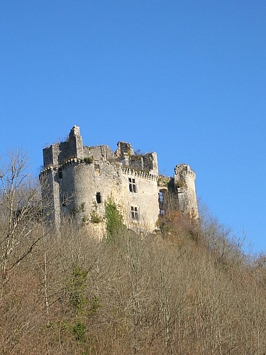Saint Pierre de Côle chateau de bruzac