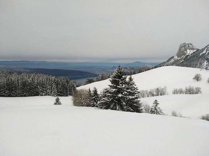 Vue sur le lac d'Annecy