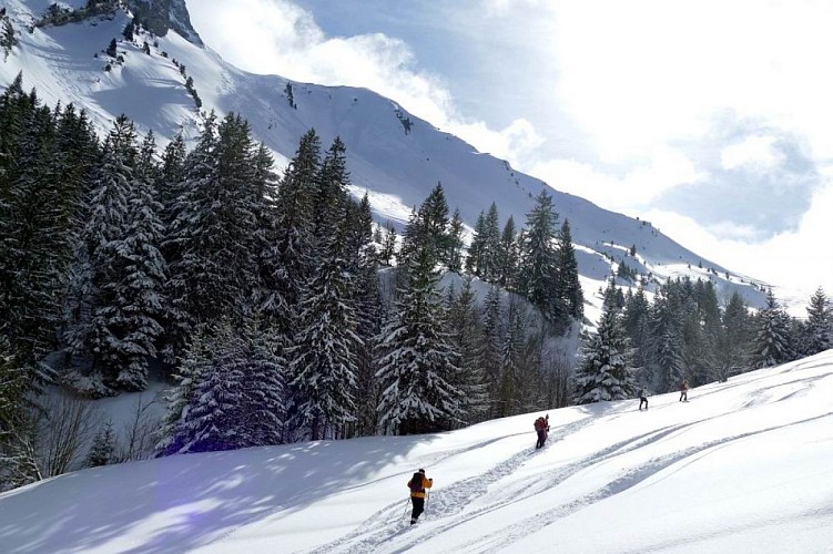 Chalet de l'Aulp de Seythenex  (1719 m)