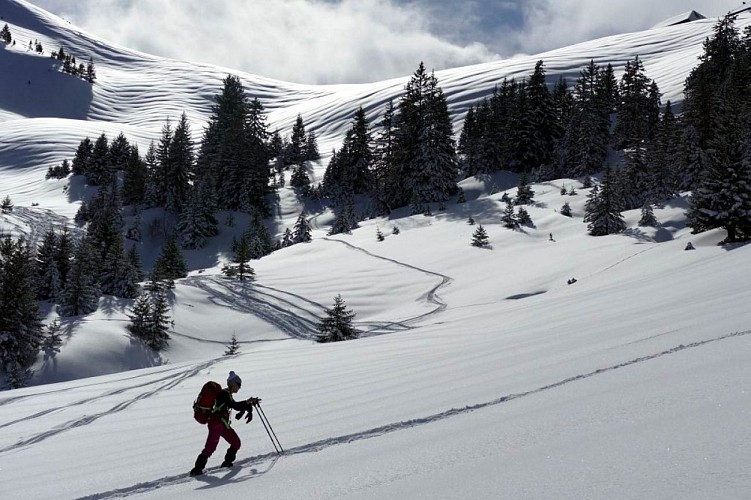 Chalet de l'Aulp de Seythenex  (1719 m)