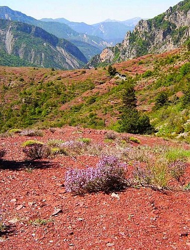 LES GORGES DU CIANS 