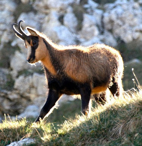 LAC NEGRE / LAC DES ADUS 