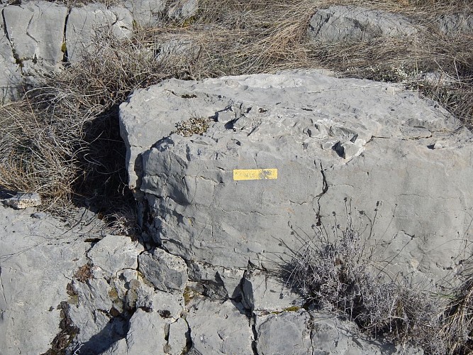 Le Vieux Mélan_Le Castellard-Melan
