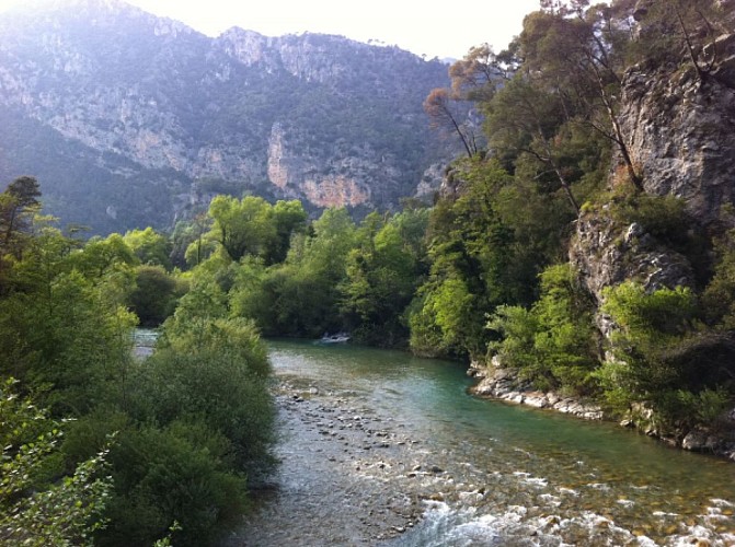 LE HAUT ESTERON (COLLONGUES-LES MUJOULES-GARS)