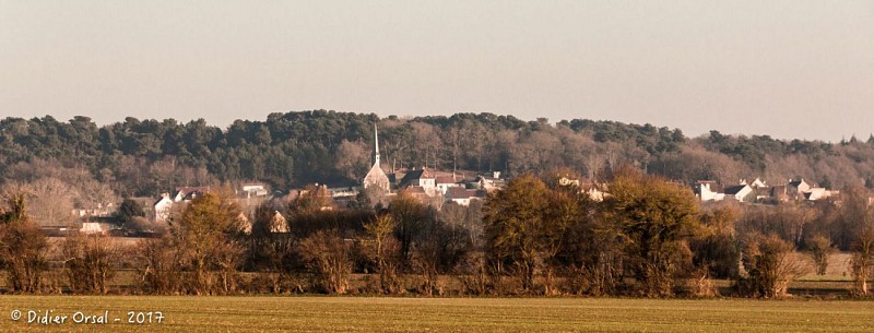 Saint-Pierre-la-Bruyère