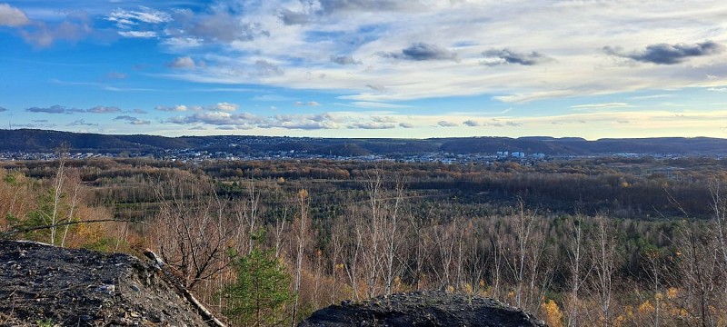 Point de vue carrière