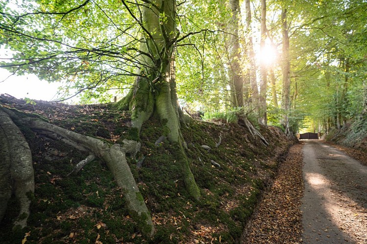 Hautot Saint-Sulpice