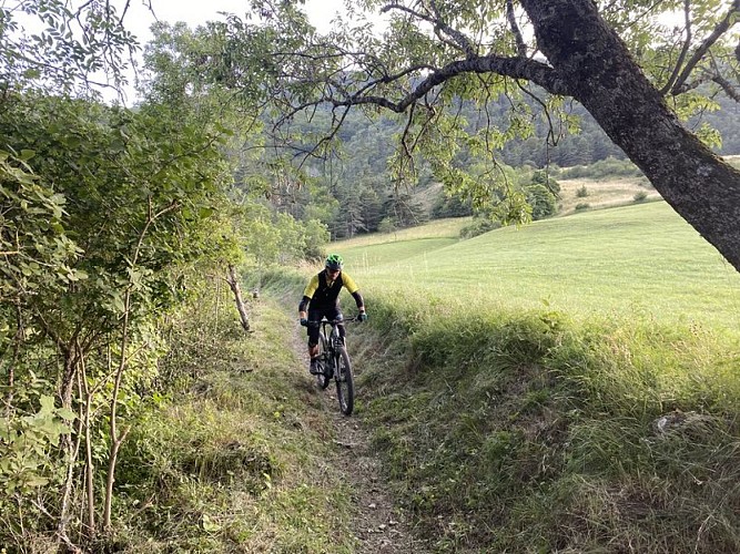Agréable sentier bordé par les champs