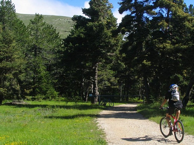 De belles prairies alpines bordent le sentier