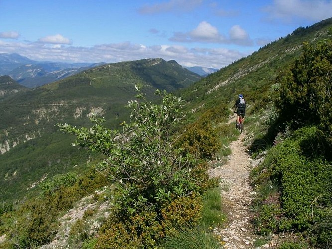 Jolie portion étroite et panoramique
