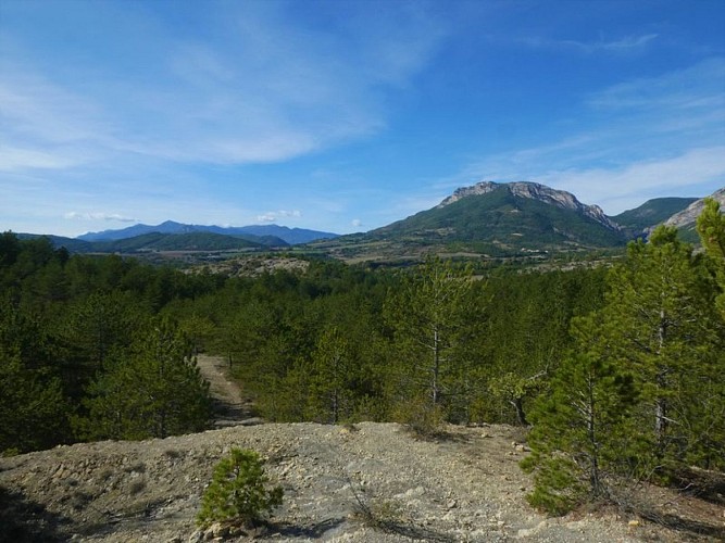 Panorama en chemin