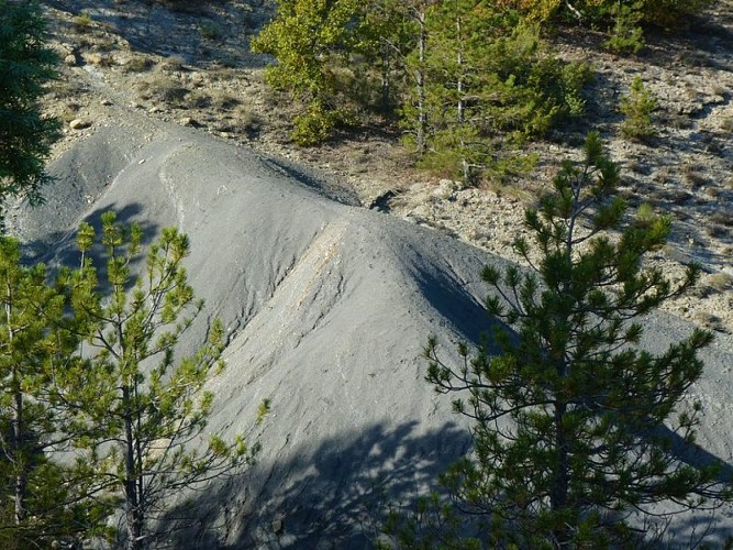 De très belles marnes