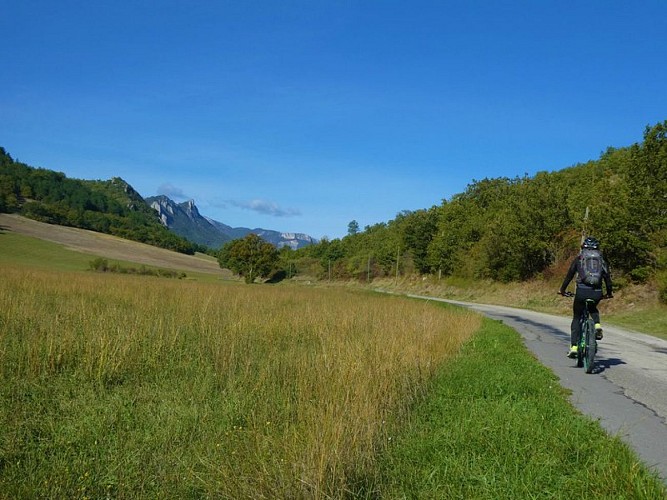 Petite route paisible