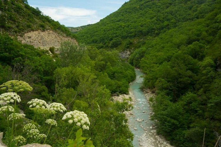 L'itinéraire surplombe la méouge