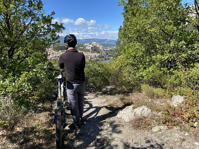 Panorama sur la Citadelle de Sisteron