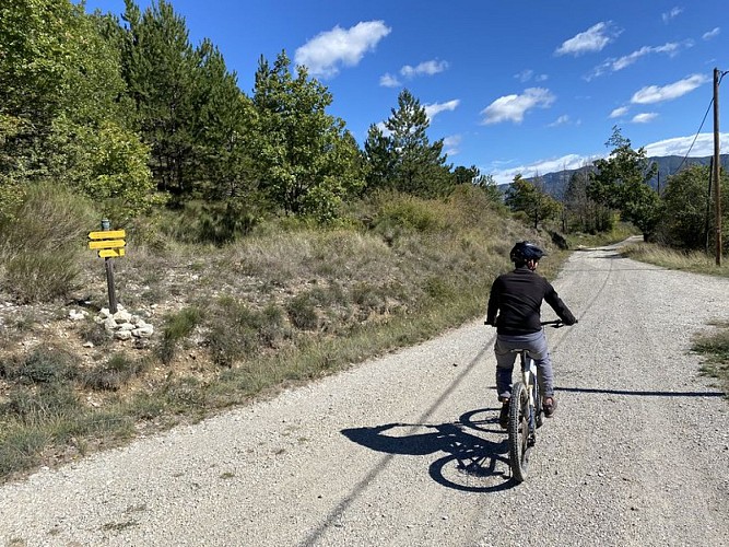 Route forestière de la Baume