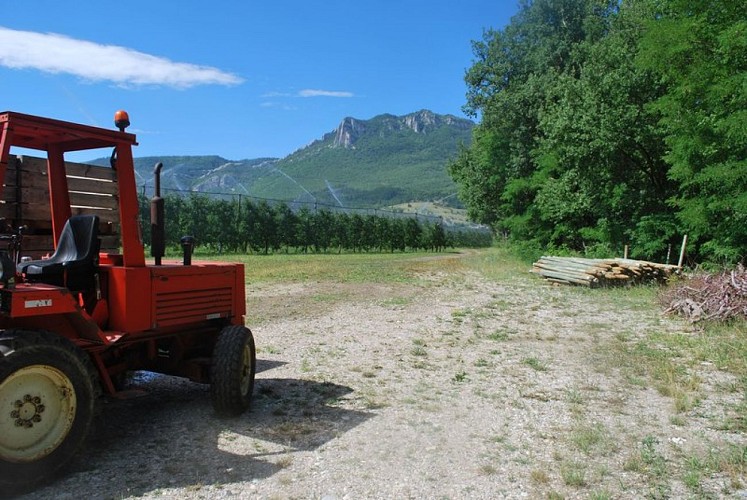 Les vergers de Ribiers