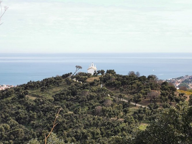 Volta Nostra Dama de la Saleta