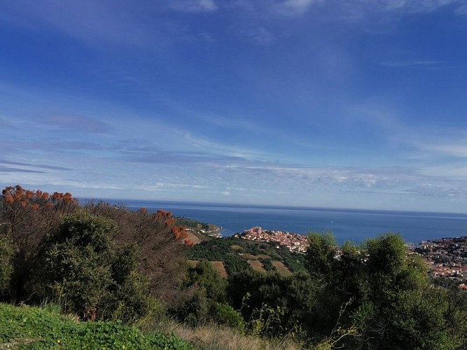 Notre Dame de la Salette