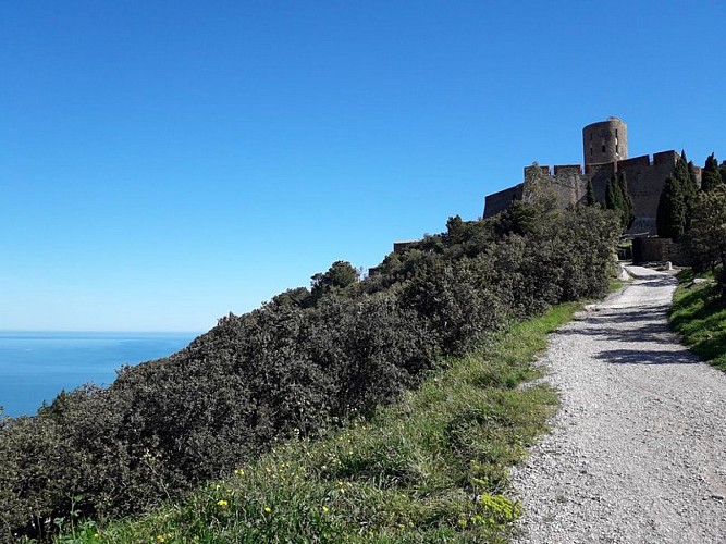 Auf der Anhöhe von Collioure