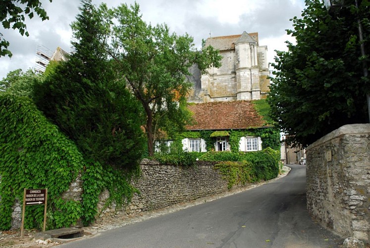 st-dye-a-saute-jardins©CG41-afluneau-(8)