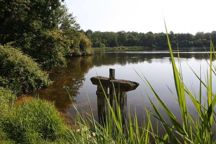 tourisme-sologne-etangs-