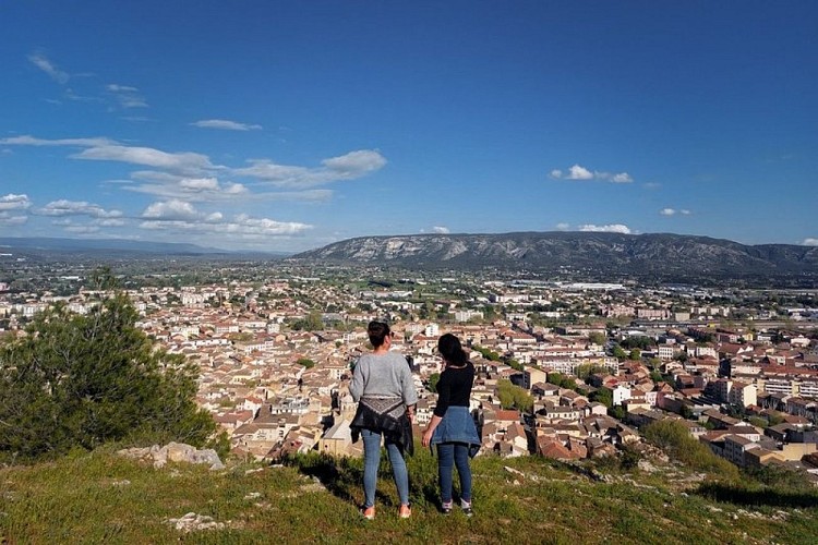 Cavaillon et le Petit Luberon depuis la colline Saint-Jacques