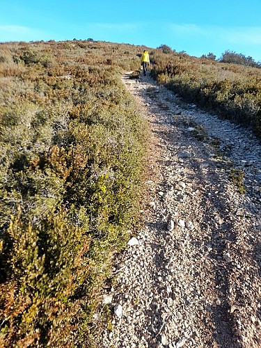 Sentier géologique - Variante courte