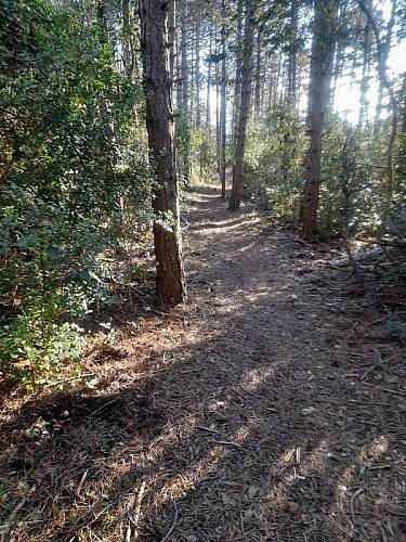 Sentier géologique - Variante courte