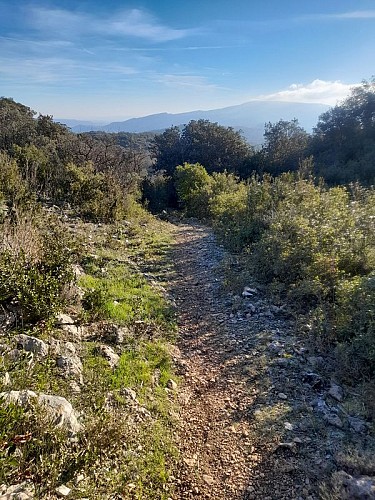 Sentier géologique - Variante courte