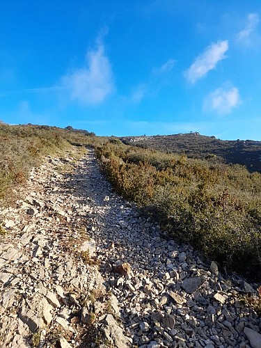 Sentier géologique - Variante courte