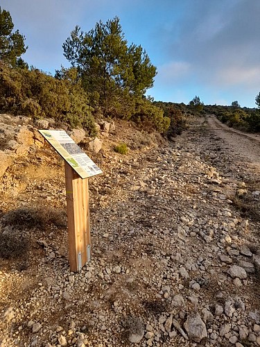 Sentier géologique - Variante courte