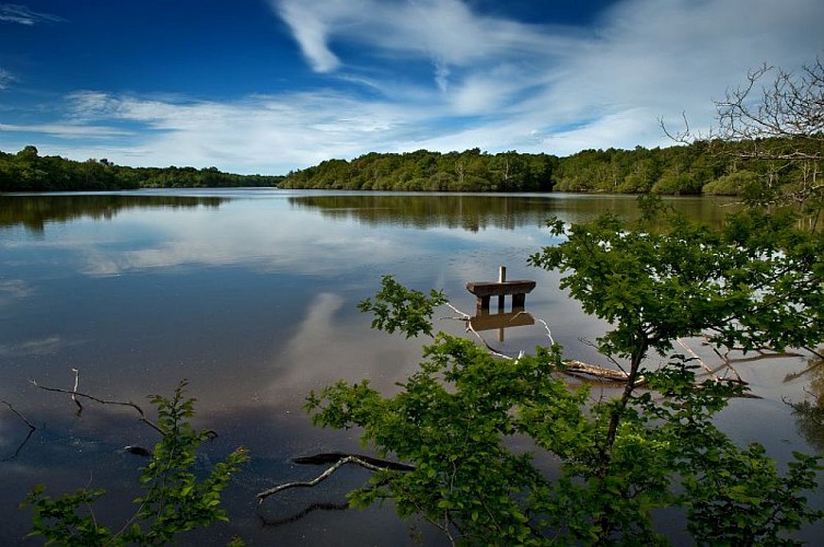 etang tour en sologne