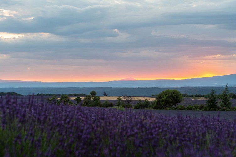 GR®69 - La Routo® Etape Saint Jurs - Bras d'Asse_Saint-Jurs