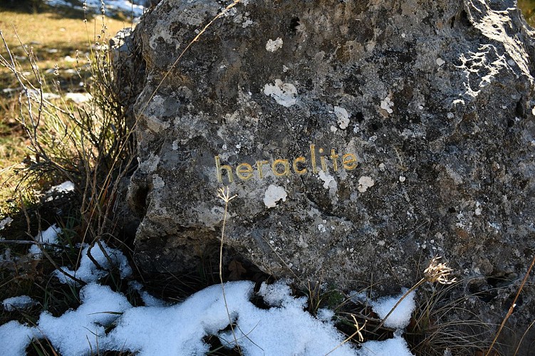 herman de vries, sommet des philosophes, 2017, Collection Musée Gassendi