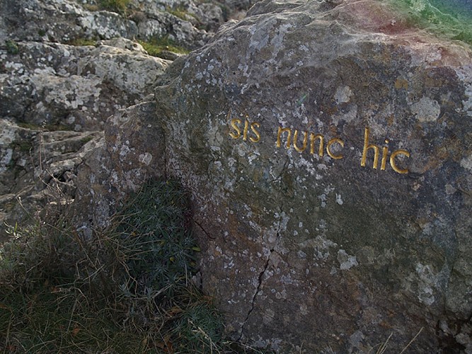 herman de vries, sic nunc hic, 2004-2006, Collection Musée Gassendi