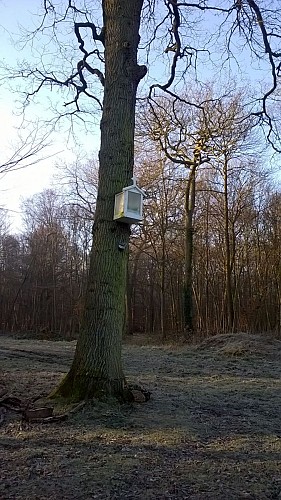 Foret de St Germain en Laye - Oratoire