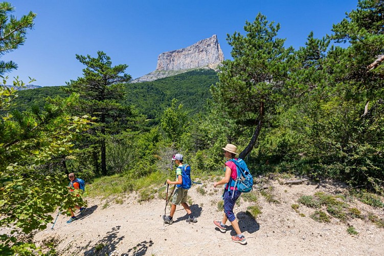 Les facettes du Mont-Aiguille_Clelles