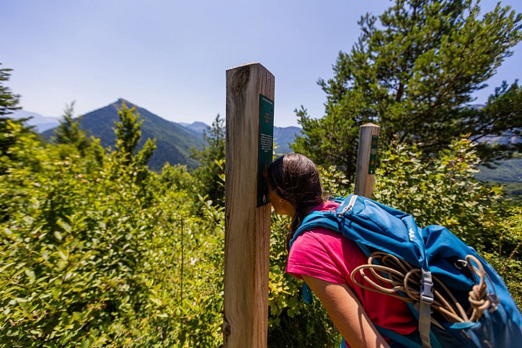 Les facettes du Mont-Aiguille_Clelles