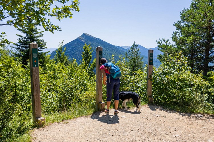 Les facettes du Mont-Aiguille_Clelles