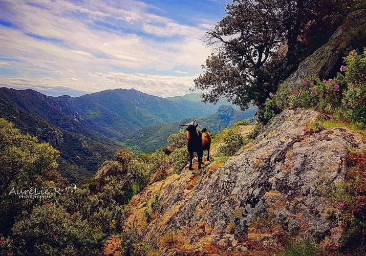 Notre-Dame du Château Hermitage via the Lavail Road