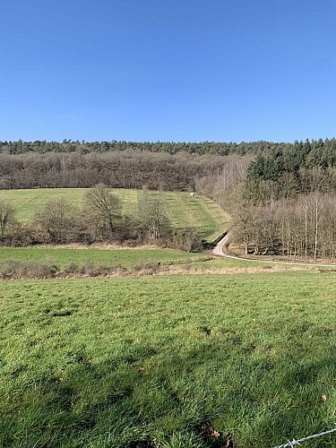 Van station naar station in de Condroz-Famenne - Van Ciney naar Leignon