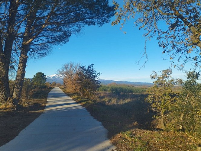 Eurovélo 8 Argelès / Le Boulou (Aménagement 2024)