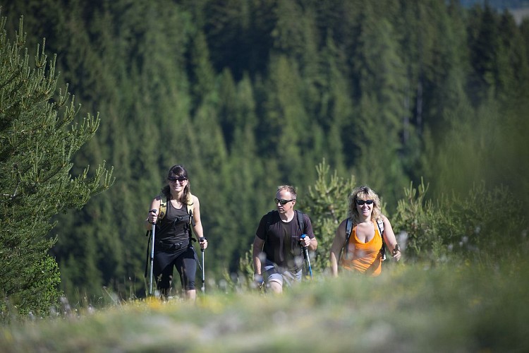 Circuit du Château_Seyne