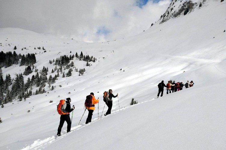 Dernière montée à "Sur le Freu"